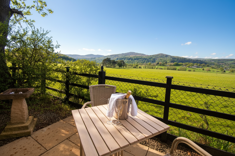 Signature Double Room with Terrace